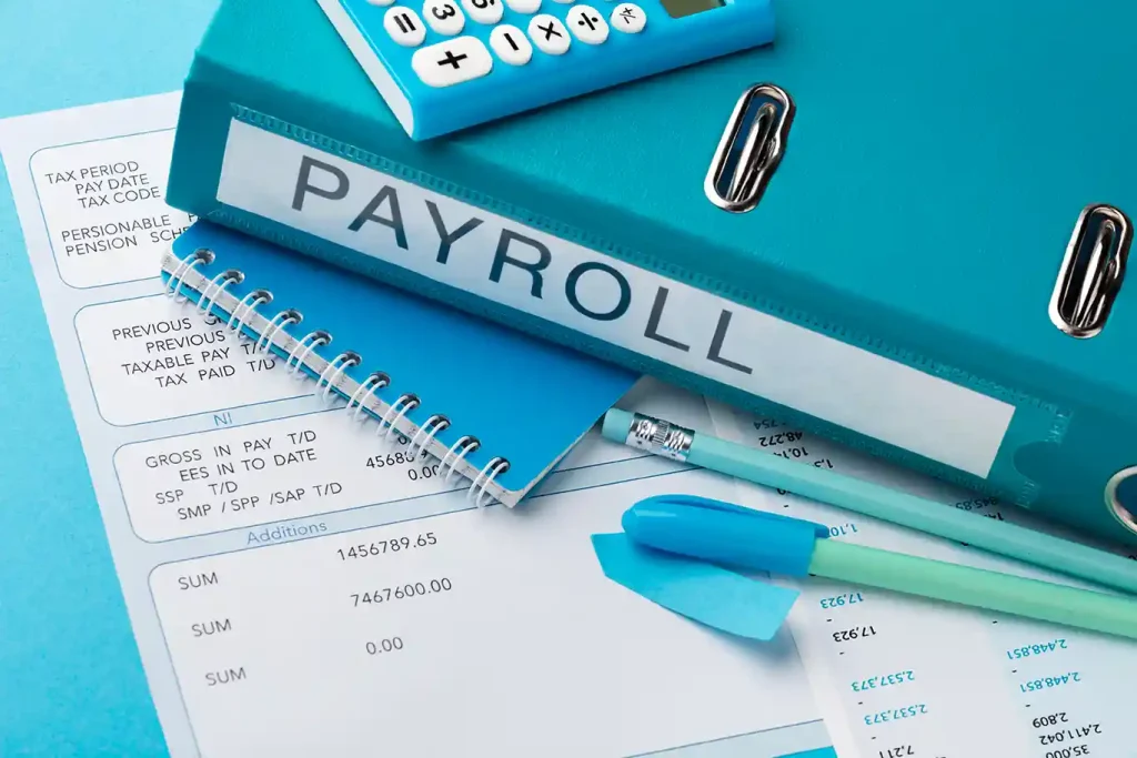 Professional Payroll Services Dubai